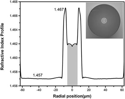 Orbital Angular Momentum Optical Amplifier Based on PbS-Doped Ring-Core Fiber